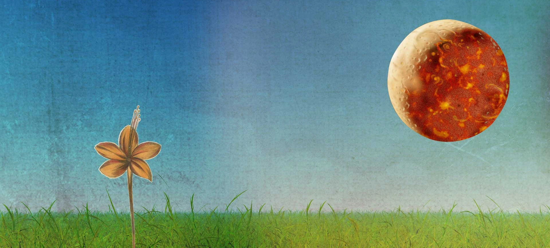 Collage of a single stylised flower in grass beneath a blue sky and a red planet